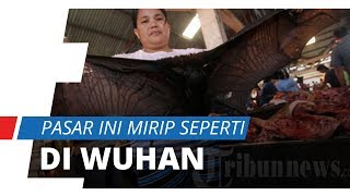 Pasar di Sulawesi Ini Jual Kelelawar dan Binatang Ekstrem Seperti Pasar di Wuhan
