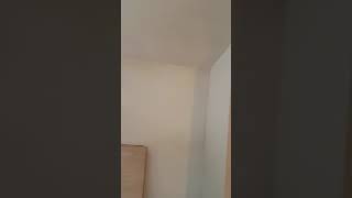 Finished White Plaster Job