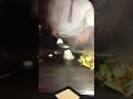 Hibachi Boy