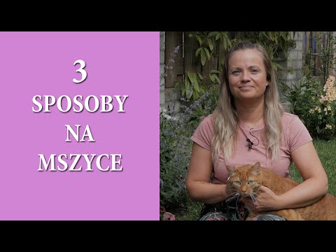 Skuteczne sposoby na MSZYCE / Mszyca jak się pozbyć / Ekologiczne sposoby na szkodniki / MrsGarden