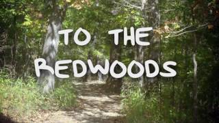 The Redwoods Music Video