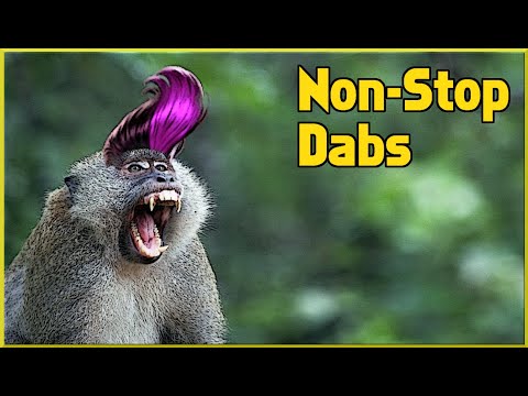 SMITE - Non-Stop Dabs