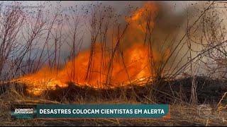 Planeta já ultrapassou sete de oito limites para a vida segura, diz estudo