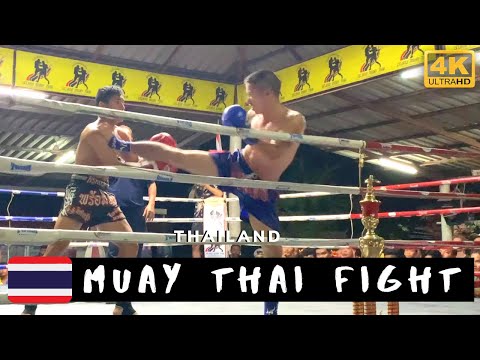 Muay Thai Thailand Live Fight Video