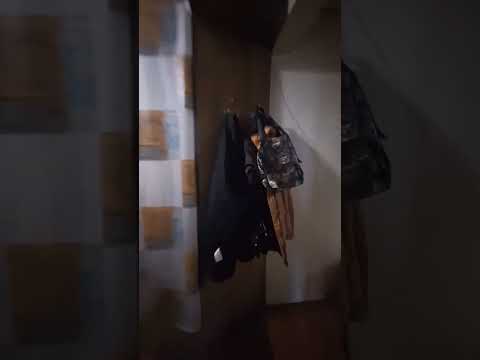 Трёхкомнатная квартира на Транспортной — первый этаж, две стороны, лоджия