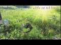 Helix The Cat Live Stream