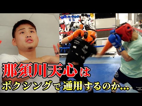 那須川天心と手を合わせてみて【スパーリングを終えて】