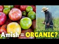 3 Reasons Why Amish Food ISN'T Organic
