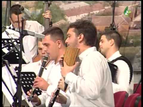 Narodni Orkestar Iz Banatskog Novog Sela - Suita Concertanta 2011