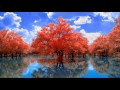Audiomachine Above And Beyond Paul Dinletir Tree Of Life