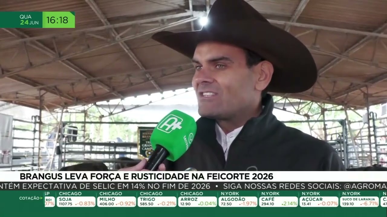 Brangus leva força e rusticidade na Feicorte 2026