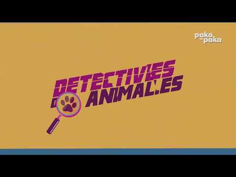estreno detective de animales