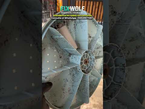 Limpieza de lavadora Samsung en Isla de Maipo - Servicio Técnico en Santiago