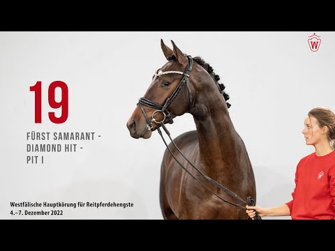 Westfälische Hauptkörung 2022 Reitpferde: Kat.Nr. 19  Fürst Samarant  -  Diamond Hit  -  Pit I