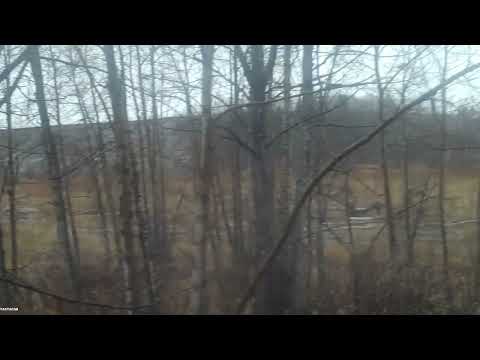 First Archery Bull Moose, video taken with Tactacam Solo First Archery Bull Moose, video taken with Tactacam Solo