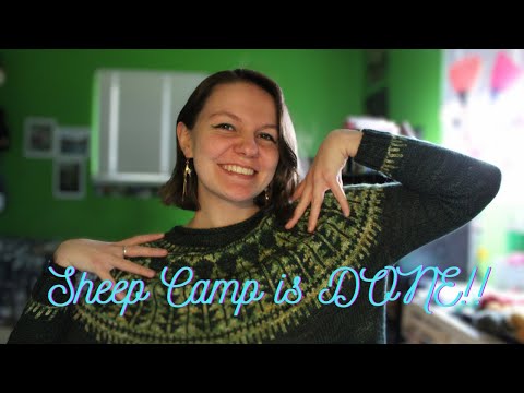 Sheep Camp is DONE!!! (Knitting Update 12/8/2023)
