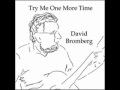 David Bromberg - Lonesome Roving Wolves