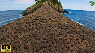 UNREAL WONDERS of PLANET | 25 Most Dangerous Places You Should Never Visit!