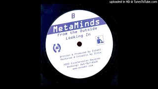 Metaminds - From The Outside Looking In