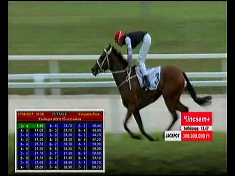 Gróf Károlyi Gyula EV. (GD3) 1300m