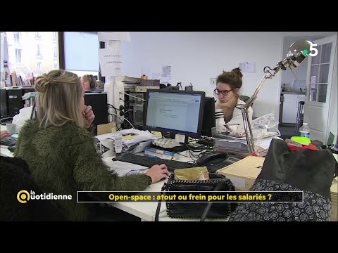 Travailler en Open space : atout ou frein pour les salariés ? - La Quotidienne