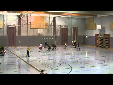 Damen B  Post SV - HG Mödling  2:1  (11.01.2013)