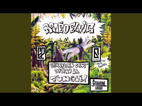 Singes Hill (feat. Félé Flingue)