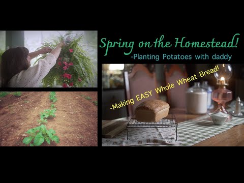 Spring on the Homestead | EASY Whole Wheat Bread | Garden Preview