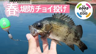 ちょい投げウキ釣りStyle！春の堤防釣り