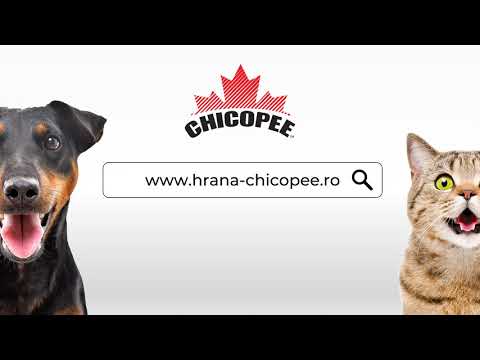 hrana-chicopee.ro - Trailer Prezentare Online Pet-Shop [RO]