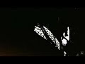 Baby Smoove RAW SIPPA Official Visualizer EditbyCV