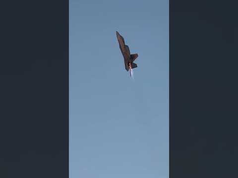 Flying the BIGGEST RC F-22 in the World! 🔥