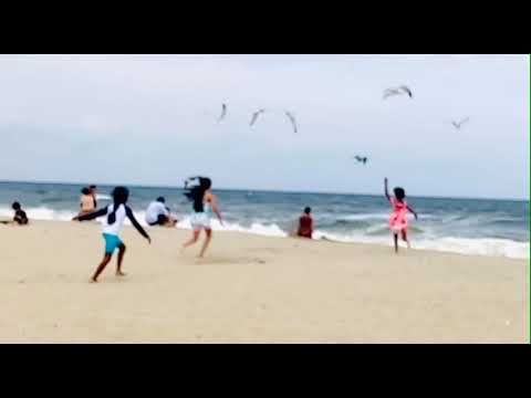 Mysha at Sandy hook beach 🏖
