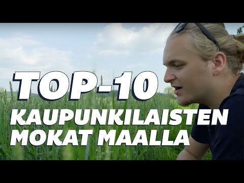 Korroosio - TOP-10 Kaupunkilaisten mokat maalla