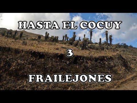 CONDUCIENDO hasta EL COCUY | Parte 3 - FRAILEJONES