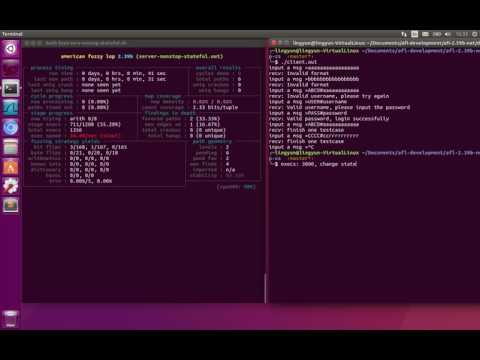 stateful protocol fuzzing demo