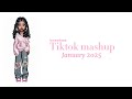 Tiktok Mashup 🩷 January 2025 NOT CLEAN