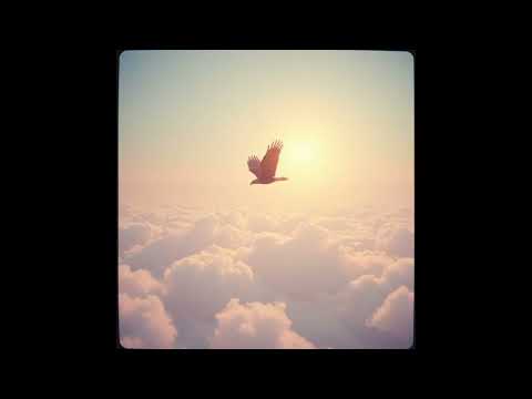 Tu mi scruti e mi conosci (salmo 139)