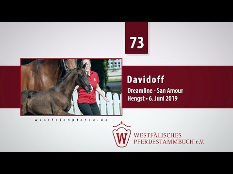 73 Davidoff Hengst v. Dreamline - San Amour