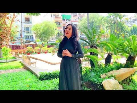 Năm năm tình sử - Lệ Hồng