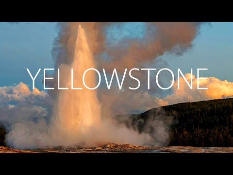 Yellowstone National Park, Wyoming, USA - Old Faithful, geysers, bison and hot springs