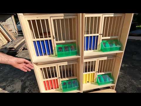 ✅ Large Breeding Boxes – Project for Mr. Tadeusz from Skołaszyn