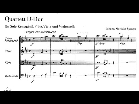 J.M.Sperger - Quartett in D Major for Solo Double Bass, Flute, Viola and Cello