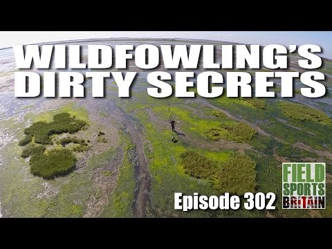 Fieldsports Britain – Wildfowling’s Dirty Secrets