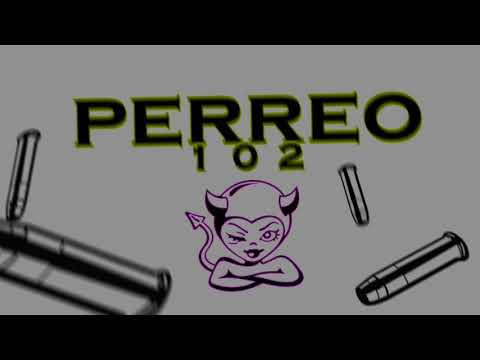 😈PERREO A 102😈 - ROSANI DJ