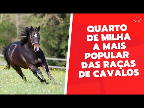 , title : 'raça de cavalo   mais popular do mundo Quarto de Milha: a mais popular das raças de cavalos'