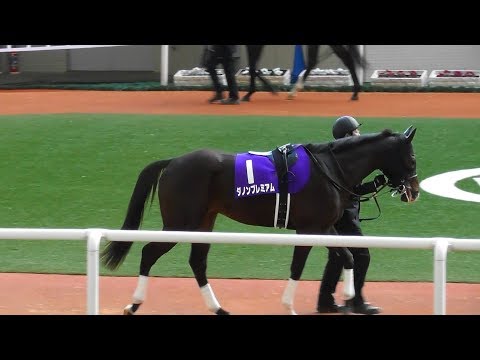 ダノンプレミアム、朝日杯フューチュリティステークスのパドック。現地映像、阪神競馬場