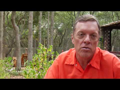 Lawn Care Tips : How to Reseed Bare Patches in a Lawn