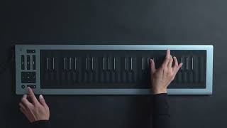 Video thumbnail for Seaboard RISE 2 and Equator2: A match made in musical heaven by ROLI