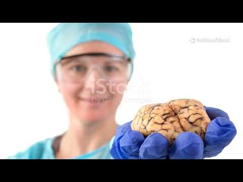 The Hormonal Symphony: Understanding Female Sex Hormones